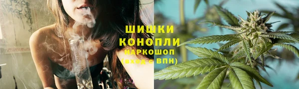 бошки Белокуриха