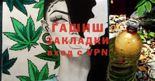 бошки Белокуриха