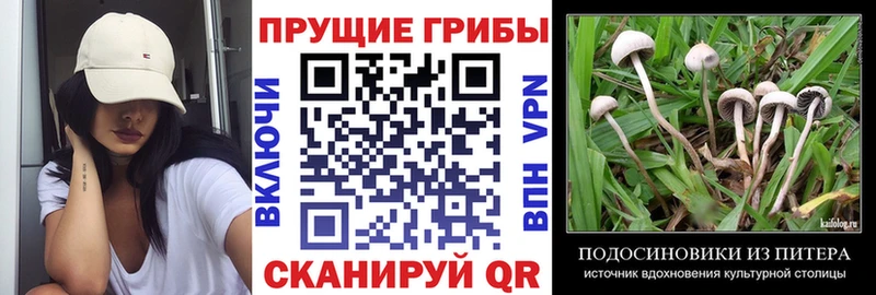 Псилоцибиновые грибы мицелий  как найти закладки  мега вход  Серов 